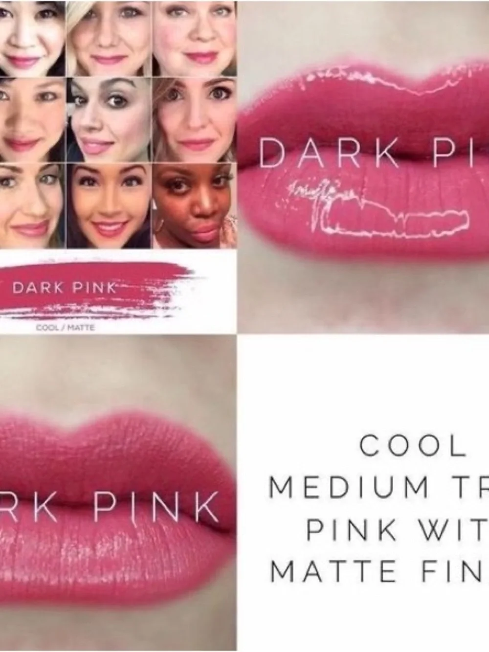 LipSense by SeneGence long lasting lipstick new never opened Dark Pink